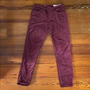 Anthropologie Corduroy Ankle Pants in Burgundy